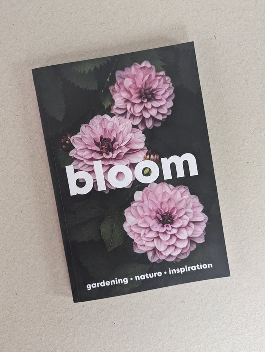 Bloom - issue sixteen - The Stationery Cupboard