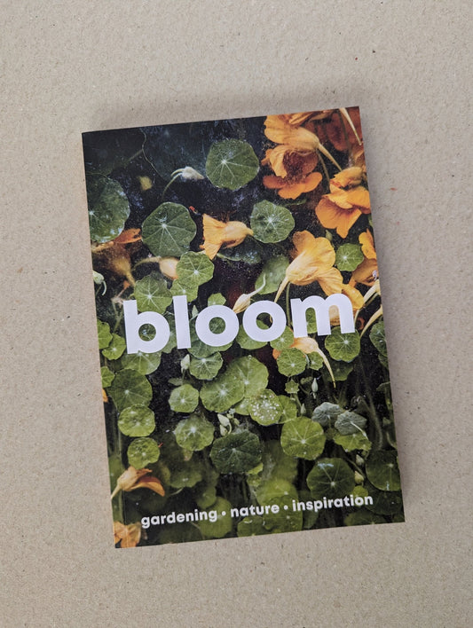 Bloom - issue fifteen - The Stationery Cupboard