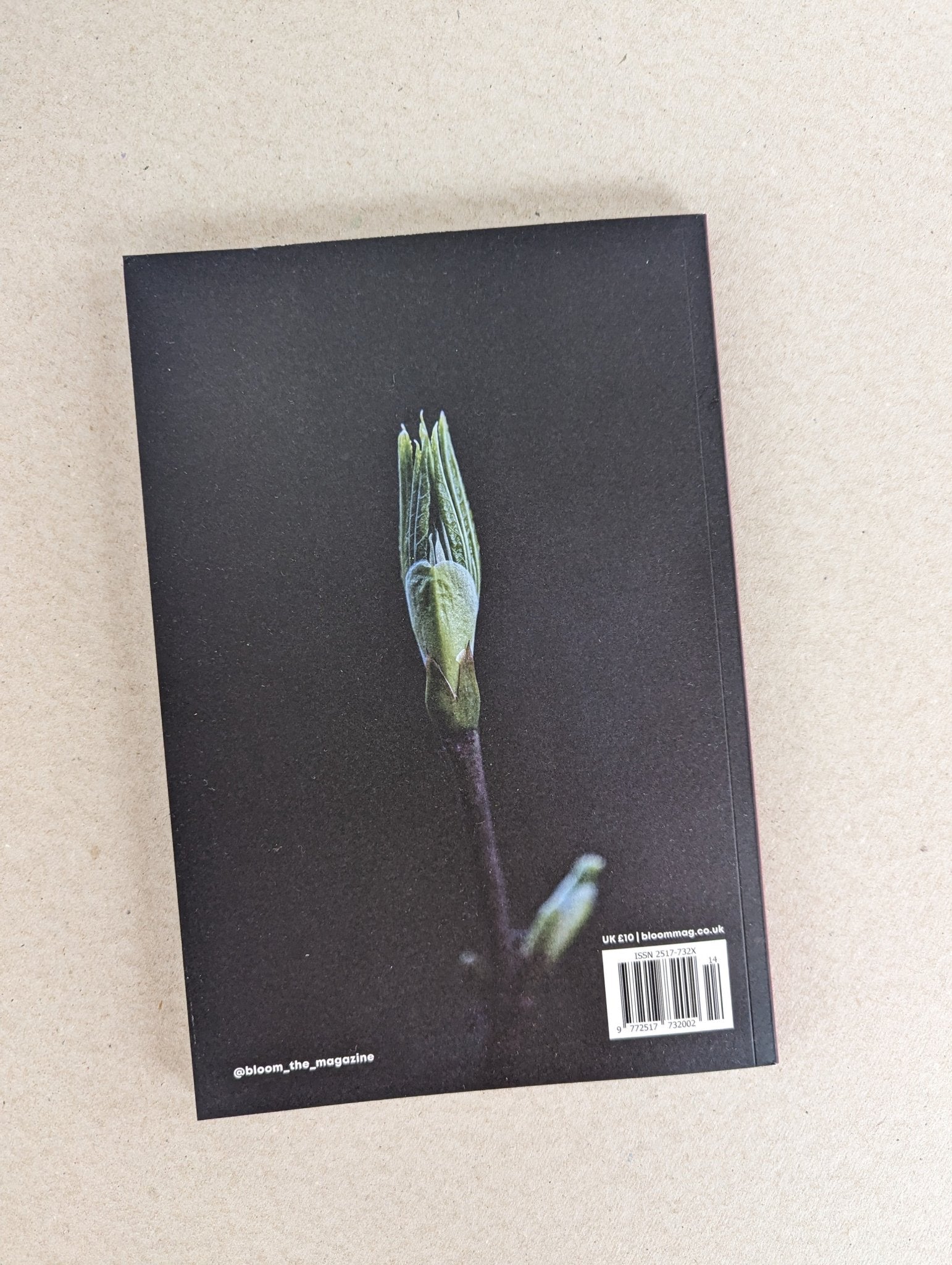 Bloom - issue fourteen - The Stationery Cupboard