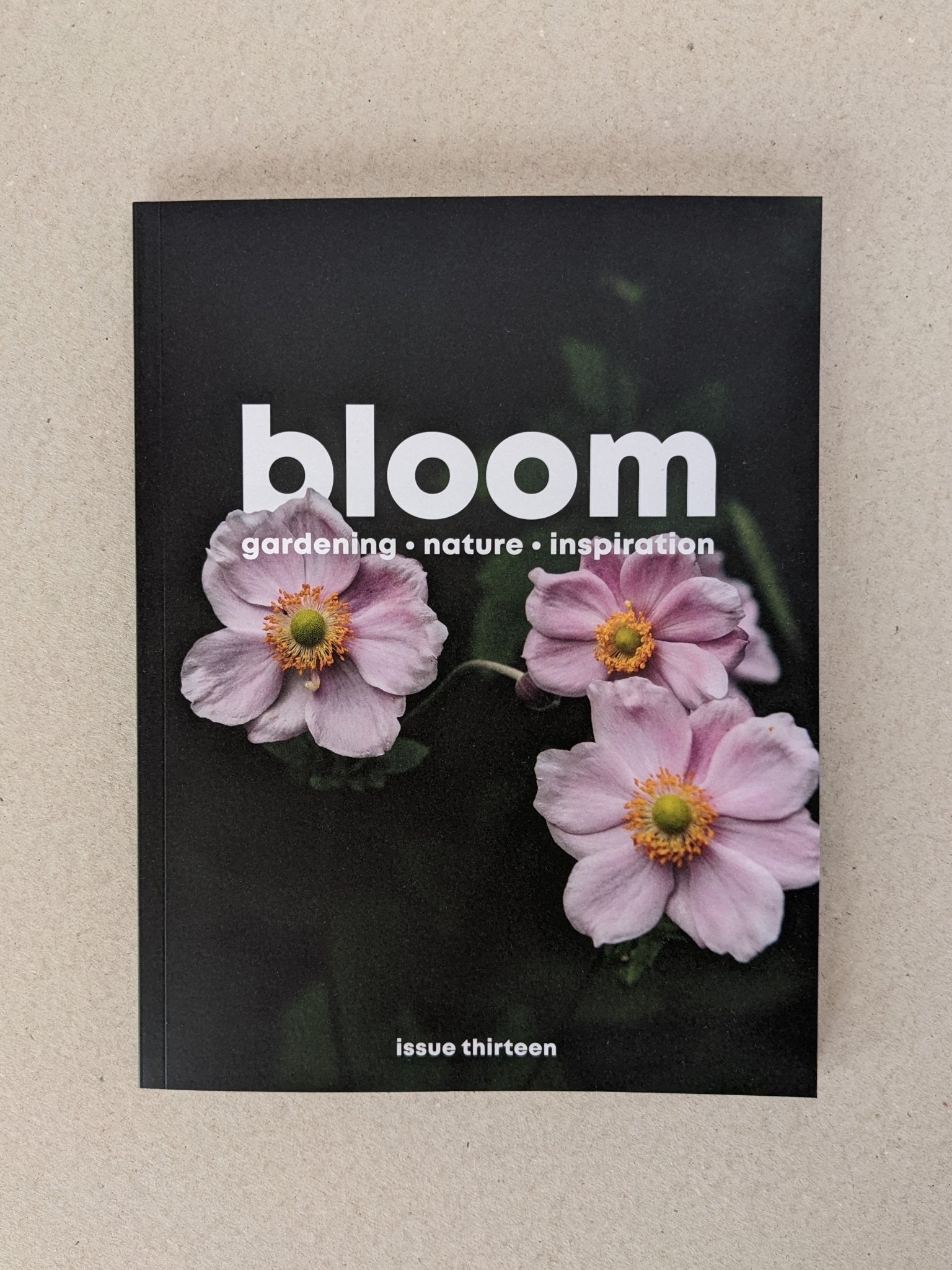 Bloom - issue thirteen - The Stationery Cupboard
