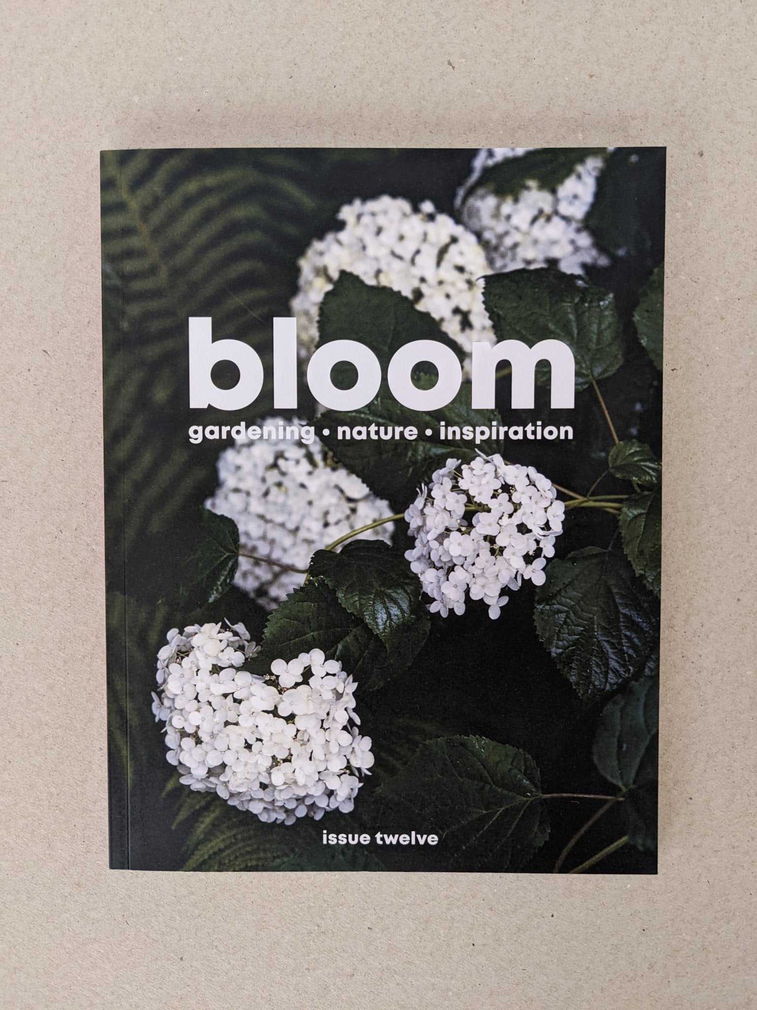 Bloom - issue twelve - The Stationery Cupboard