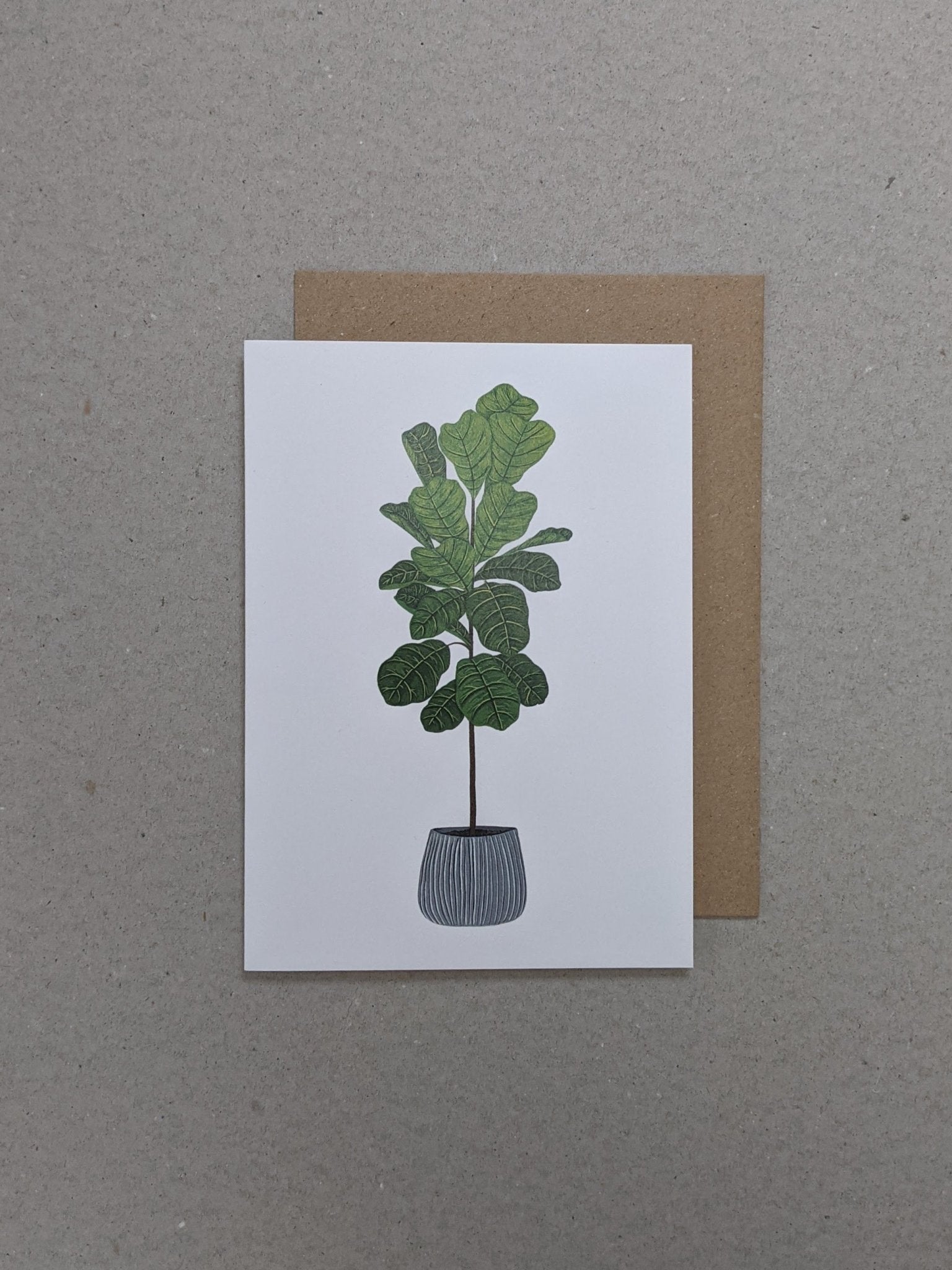 Fiddle Leaf Fig Greetings Card - The Stationery Cupboard