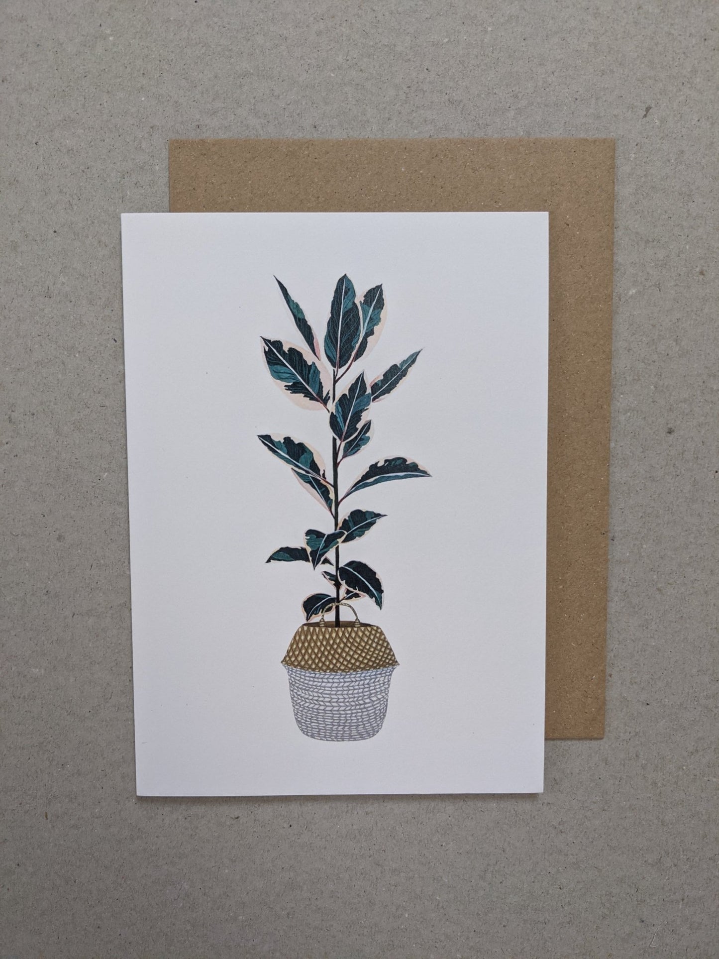 Rubber Plant Ficus Greetings Card - The Stationery Cupboard