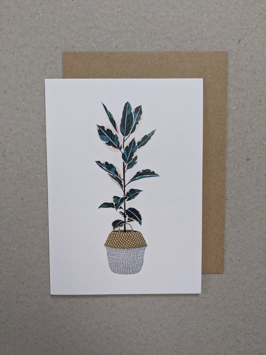 Rubber Plant Ficus Greetings Card - The Stationery Cupboard